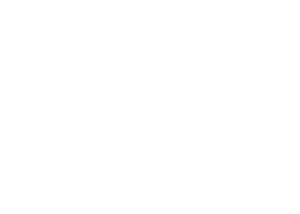 remax_webseite